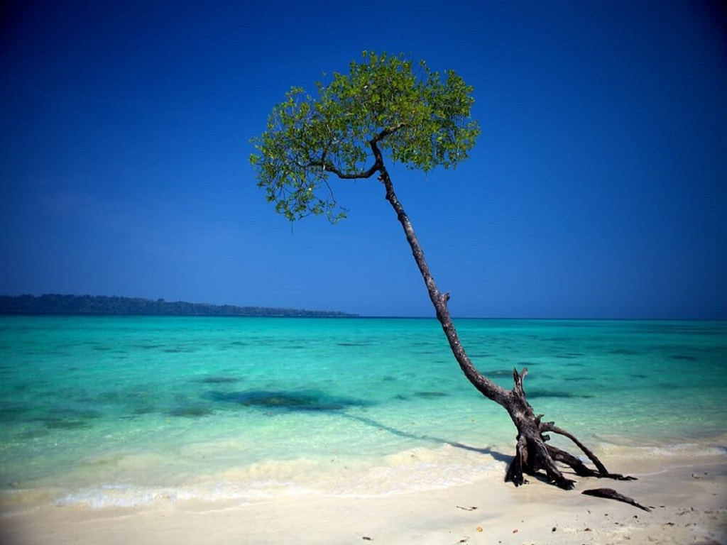 Beach,goa